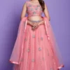 Party wear Lehenga Online in USA UK Canada Australia India