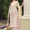 Pakistani Suits Online in Organza